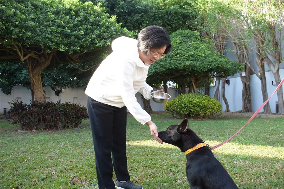 為控管遊蕩犬貓數量　打造友善動物之城市　彰化縣115年度遊蕩犬貓TNVR活動正式啟動