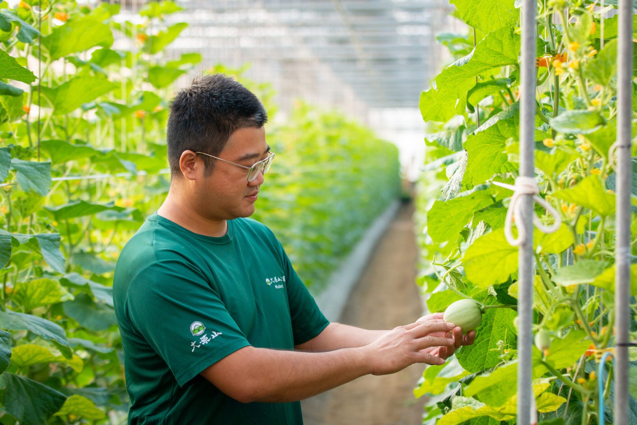 2026台灣燈會「嘉義・乘光而行」形象影片 嘉義夢燈區 同步亮相 2026台灣燈會「嘉義・乘光而行」形象影片 嘉義夢燈區 同步亮相