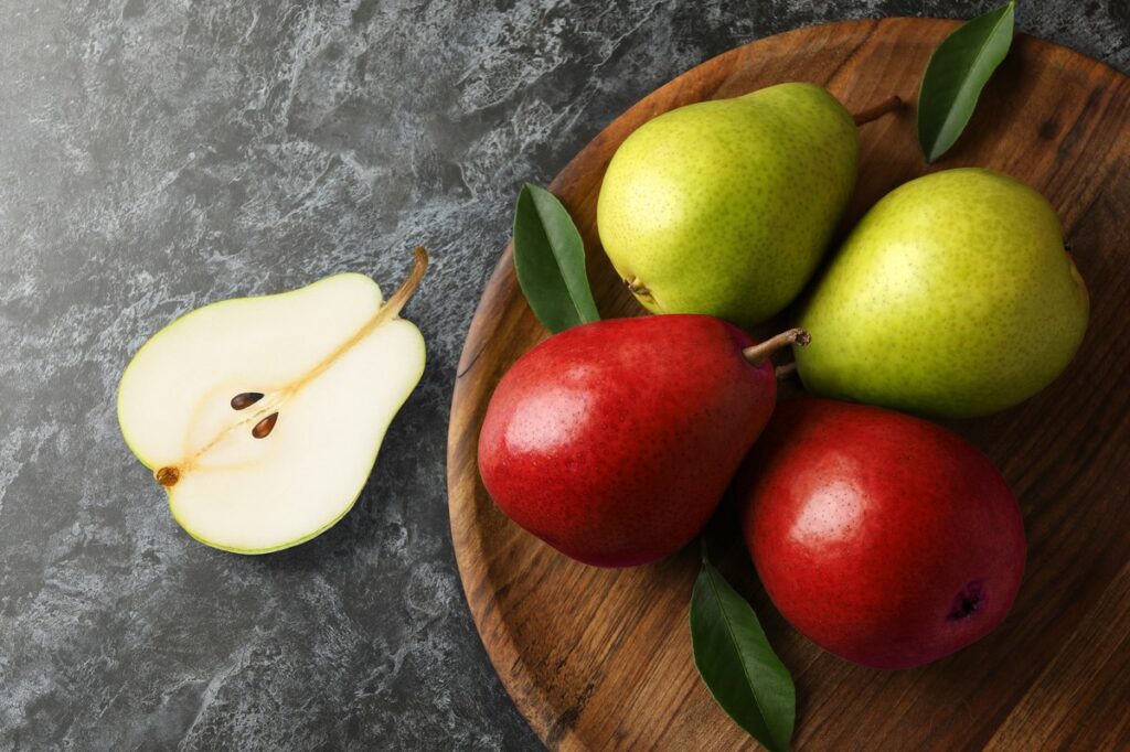 迎春季節的紅綠寶石－美國西洋梨