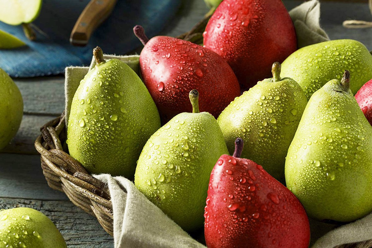 迎春季節的紅綠寶石-美國西洋梨 迎春季節的紅綠寶石-美國西洋梨