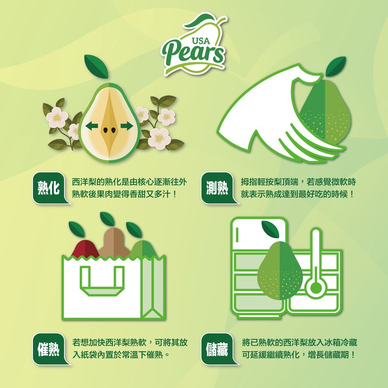 迎春季節的紅綠寶石-美國西洋梨 迎春季節的紅綠寶石-美國西洋梨