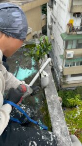 台北市信義區公寓外牆除樹工程施工