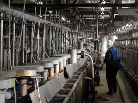 懷揣 6.9 億噸「工業黃金」卻挖不出？土耳其稀土夢碎技術封鎖！美土密約疑雲引爆政治內鬥