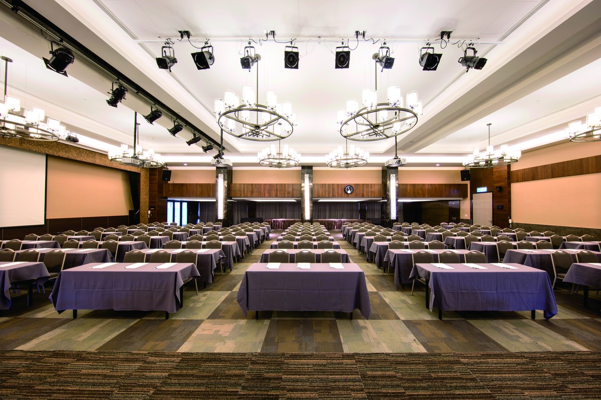 走進森林，找回工作的呼吸感-大板根 2026 買一送一企業方案，讓會議成為一場低碳身心假期