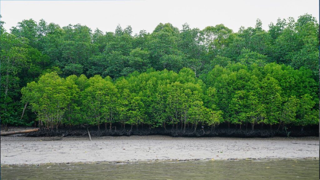 社子島環評不該歸零 程序補正、同步推進才是城市負責任治理 社子島環評不該歸零 程序補正、同步推進才是城市負責任治理