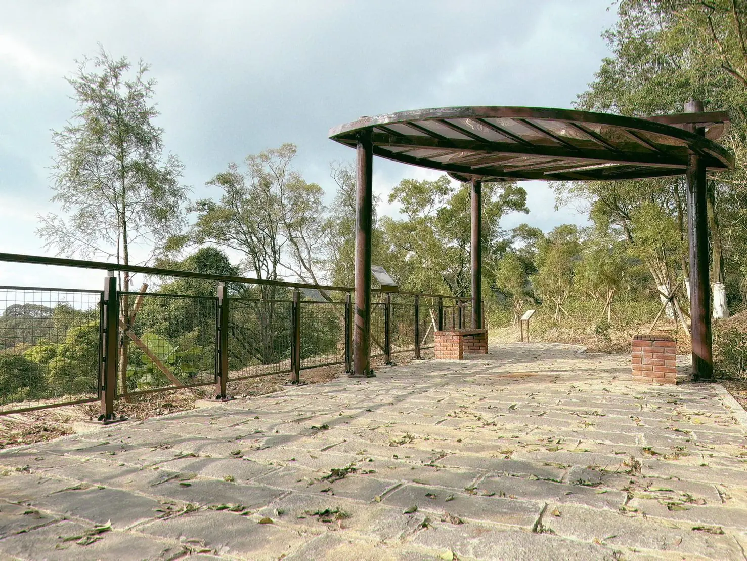茶香漫山　南港茶山新風貌揭幕