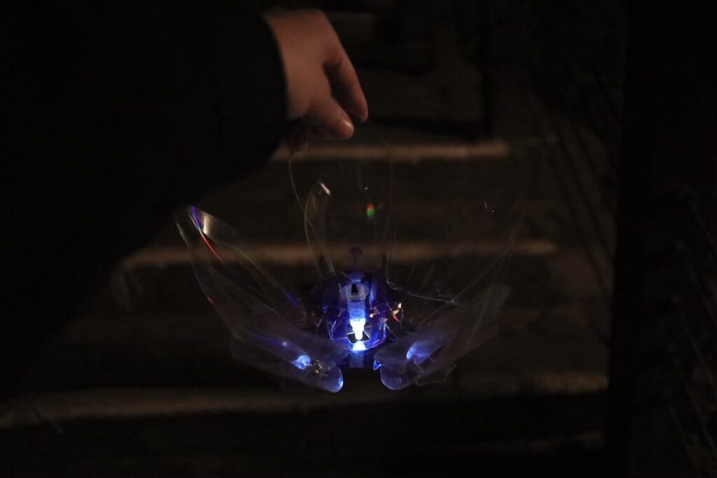 空山祭最美亮點誕生!「水晶花提燈」結構設計 網友狂讚:這是我最喜歡的作品 空山祭最美亮點誕生!「水晶花提燈」結構設計 網友狂讚:這是我最喜歡的作品