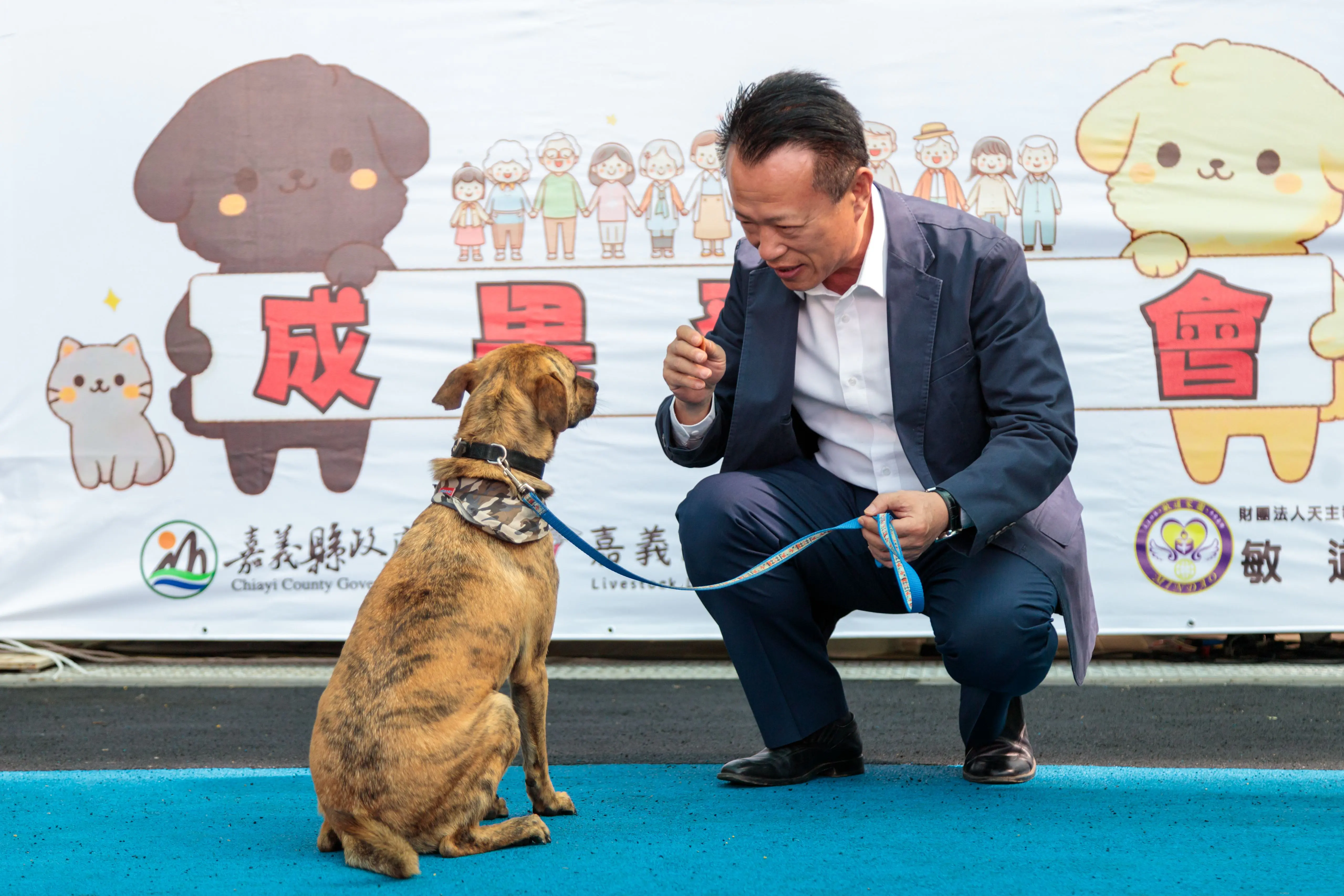 嘉義縣獨創「浪浪就業服務站」　浪浪成為夥伴不再流浪