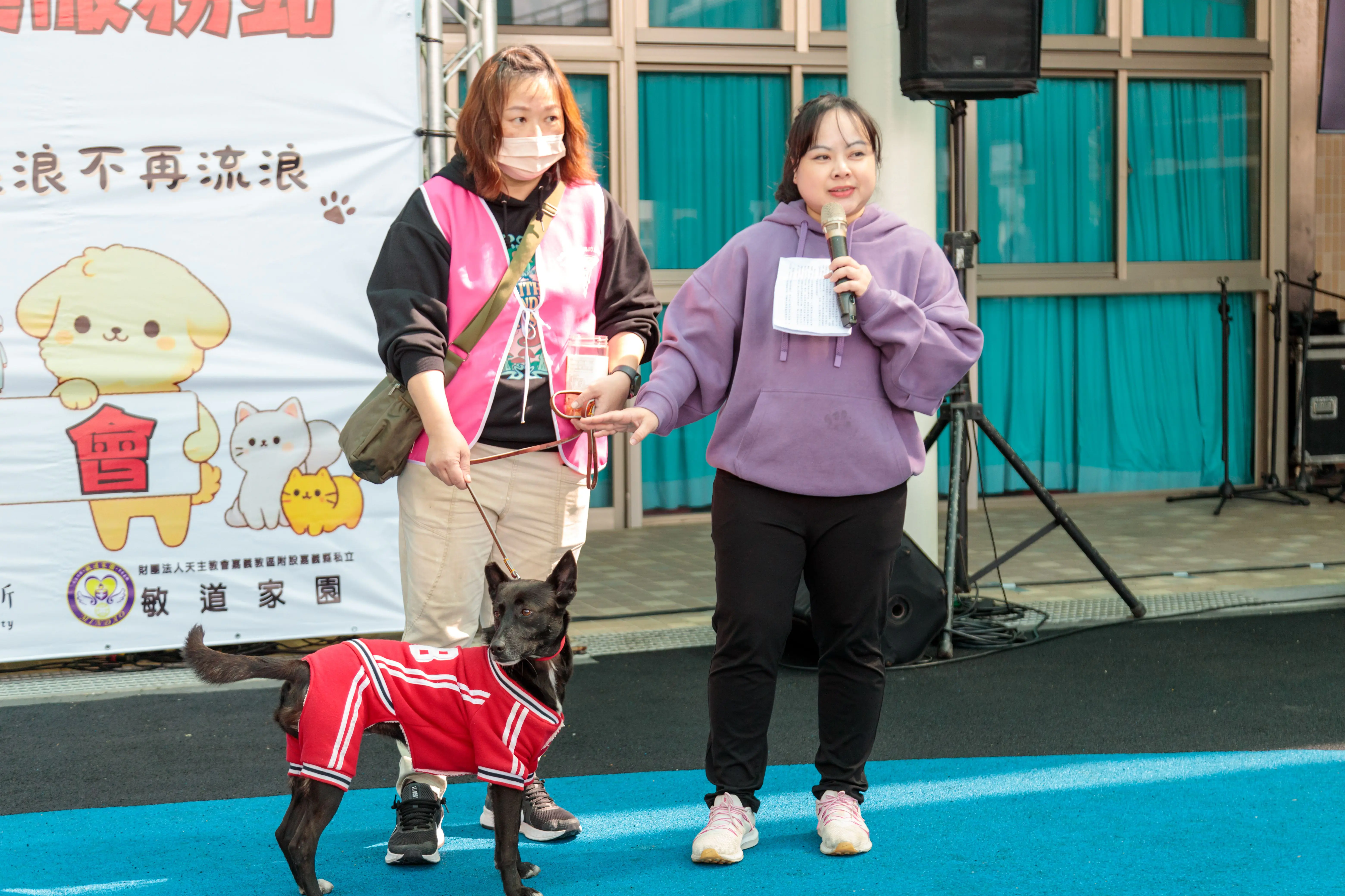 嘉義縣獨創「浪浪就業服務站」　浪浪成為夥伴不再流浪