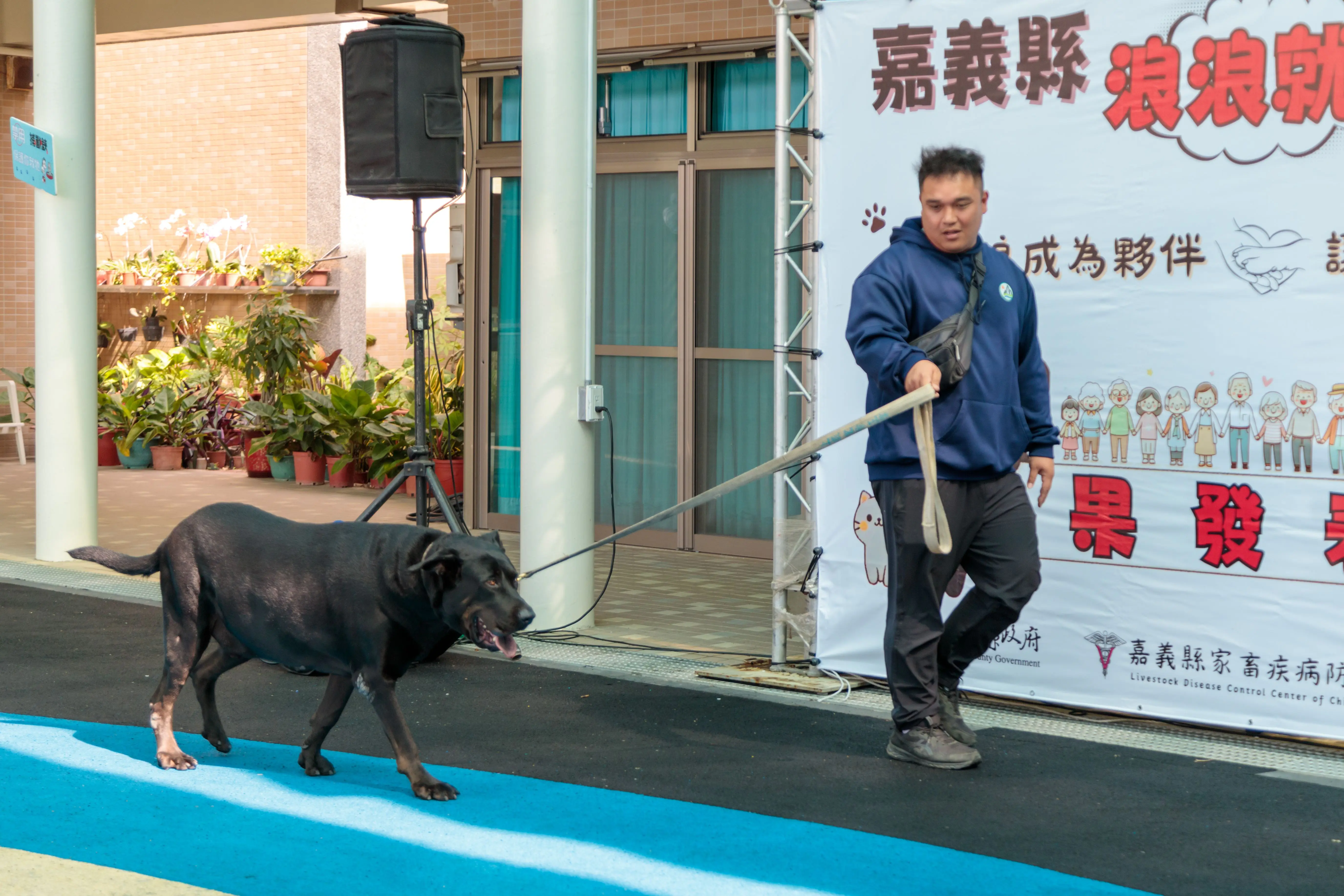 嘉義縣獨創「浪浪就業服務站」　浪浪成為夥伴不再流浪