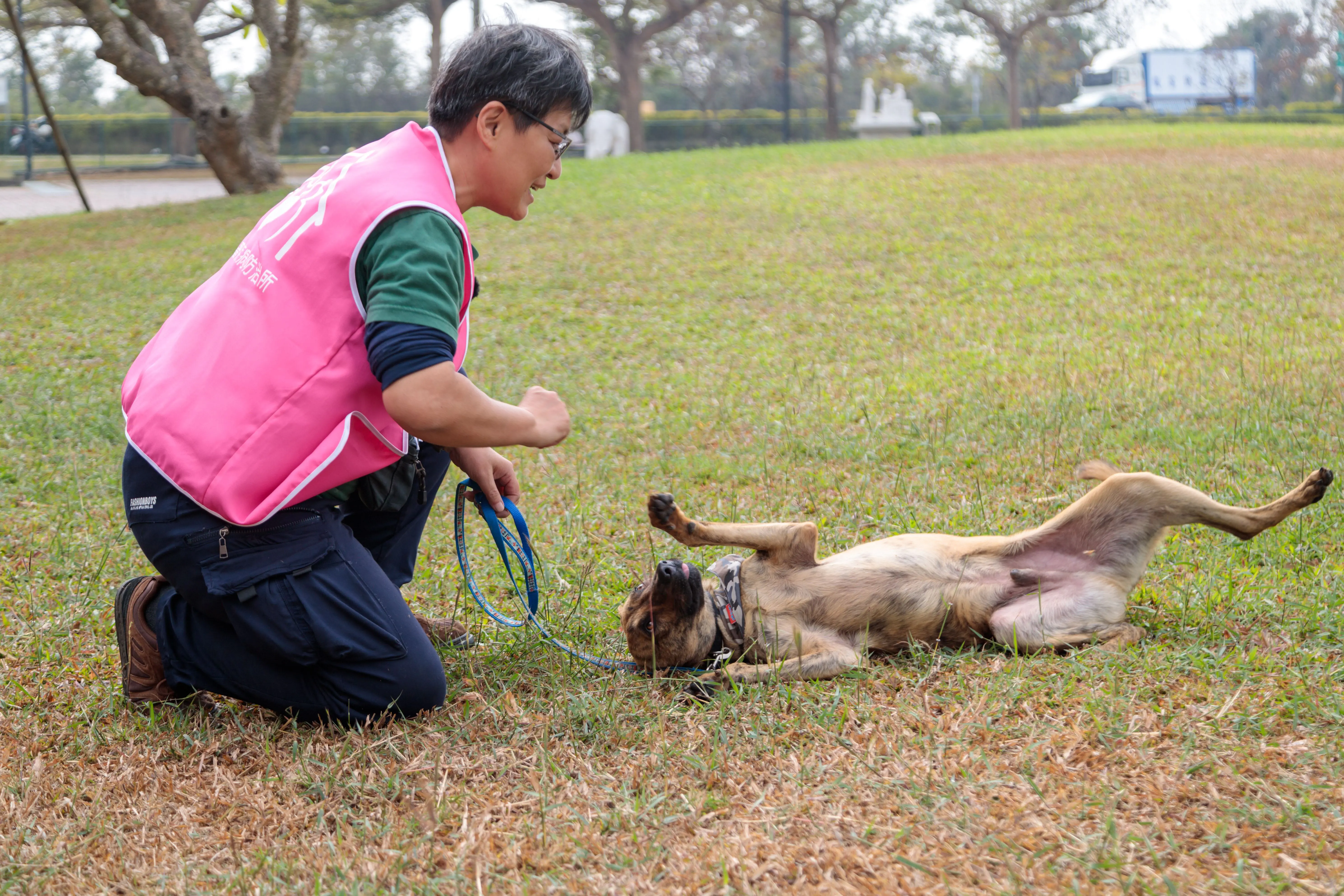 嘉義縣獨創「浪浪就業服務站」　浪浪成為夥伴不再流浪