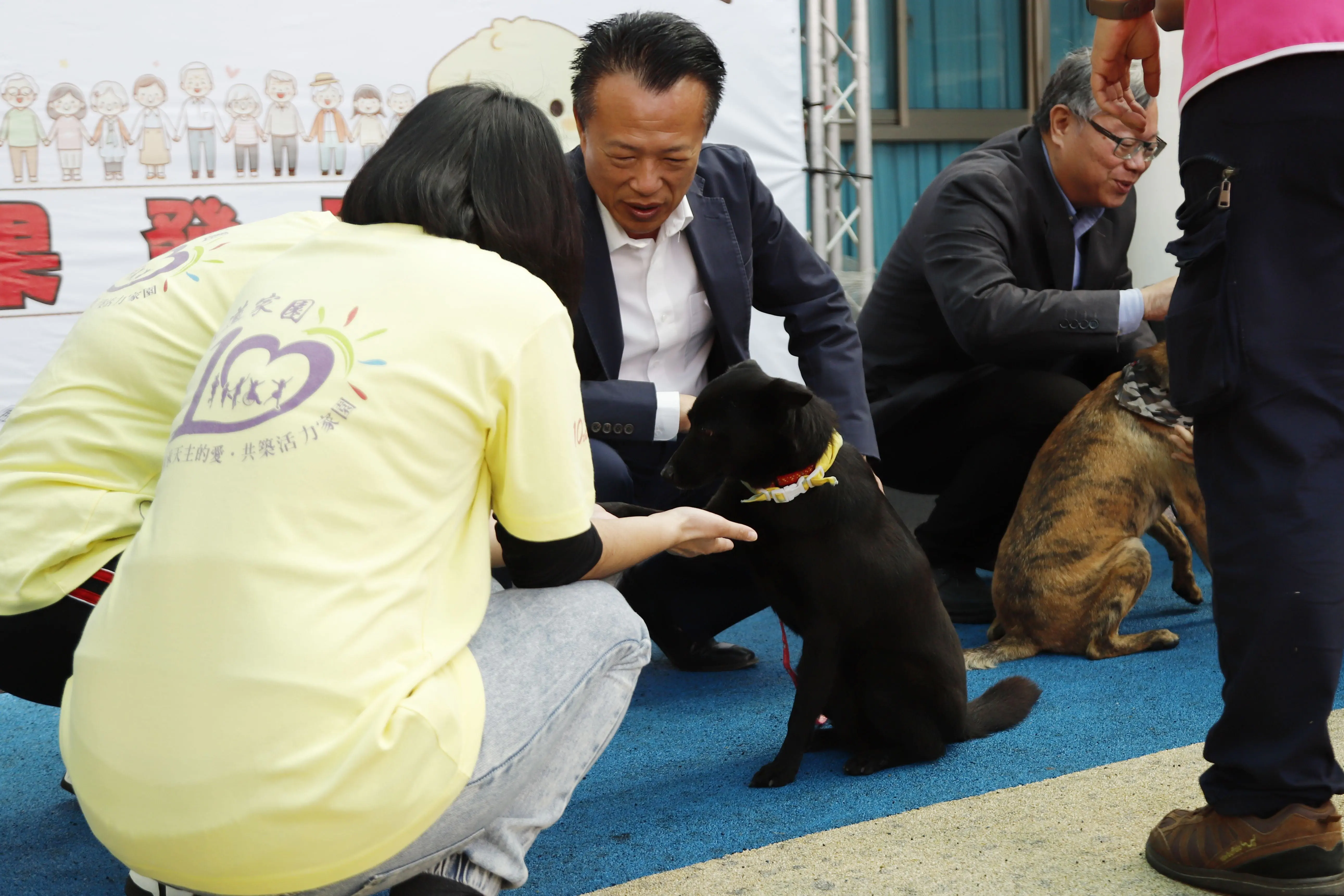 嘉義縣獨創「浪浪就業服務站」 浪浪成為夥伴不再流浪 嘉義縣獨創「浪浪就業服務站」 浪浪成為夥伴不再流浪