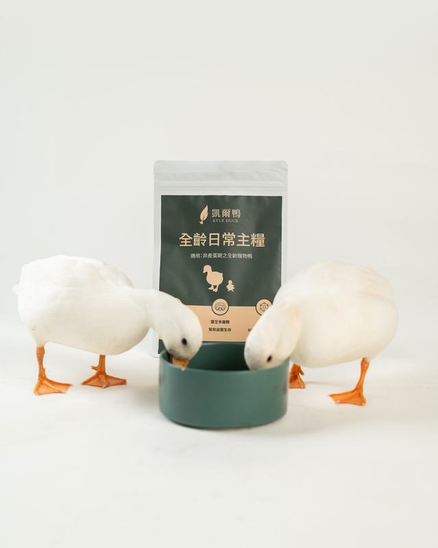 寵物鴨照護需求浮現 「凱爾鴨」推出全齡營養飼料新選擇 寵物鴨照護需求浮現 「凱爾鴨」推出全齡營養飼料新選擇