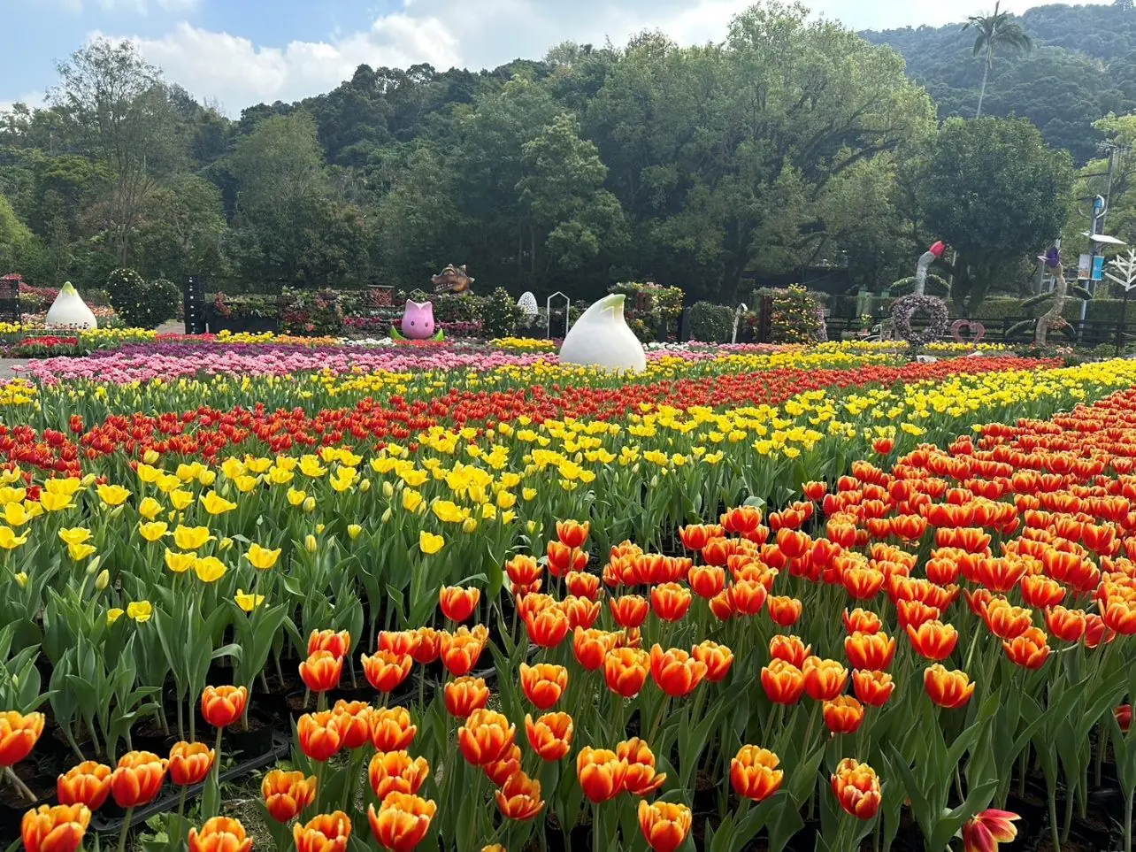 台北燈節2/25璀璨登場 首推雙展區、雙IP亮相西門町與圓山 台北燈節2/25璀璨登場 首推雙展區、雙IP亮相西門町與圓山