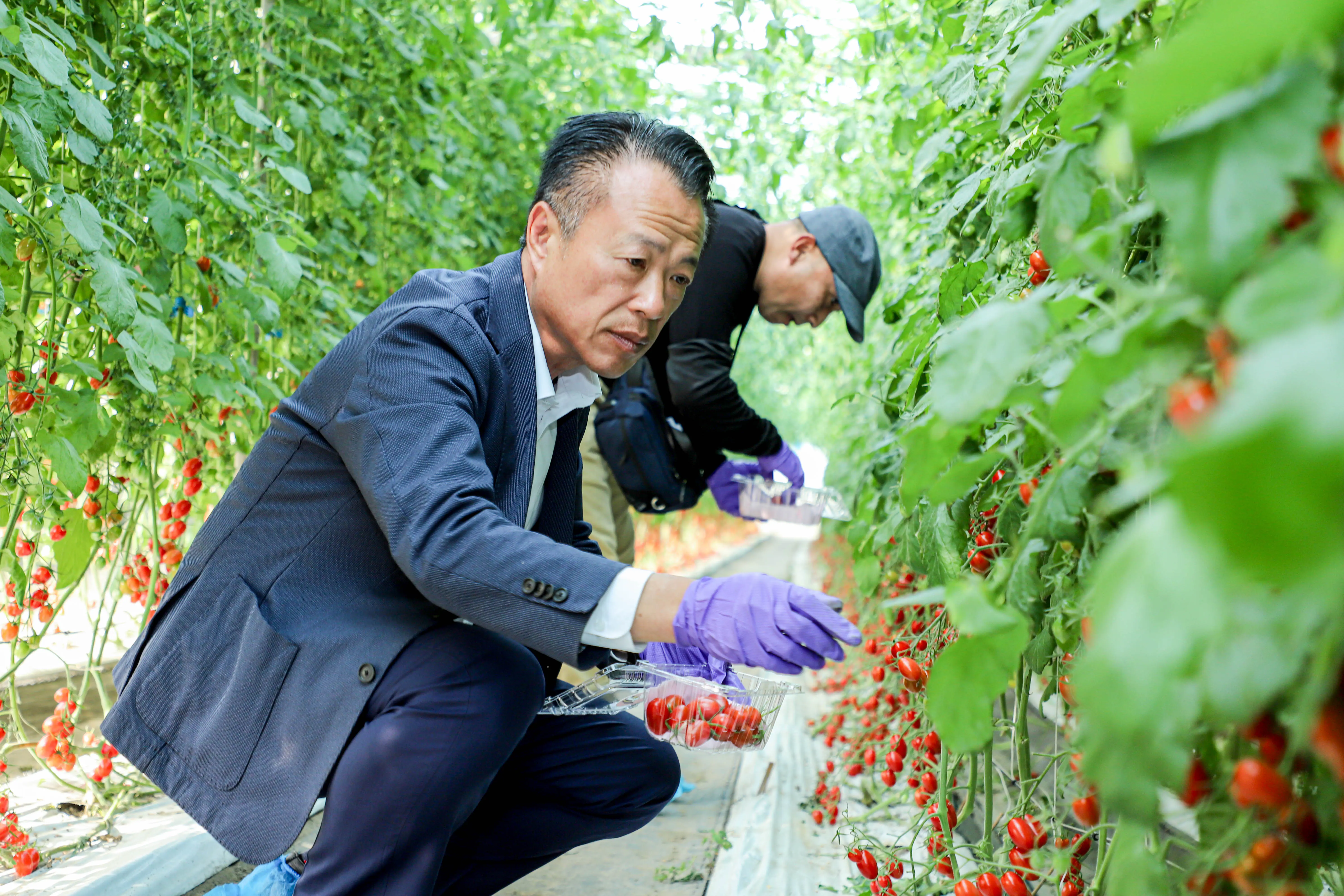 日本山口縣考察團來訪嘉縣　深化台日農業交流