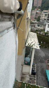 台北市信義區公寓外牆除樹工程施工