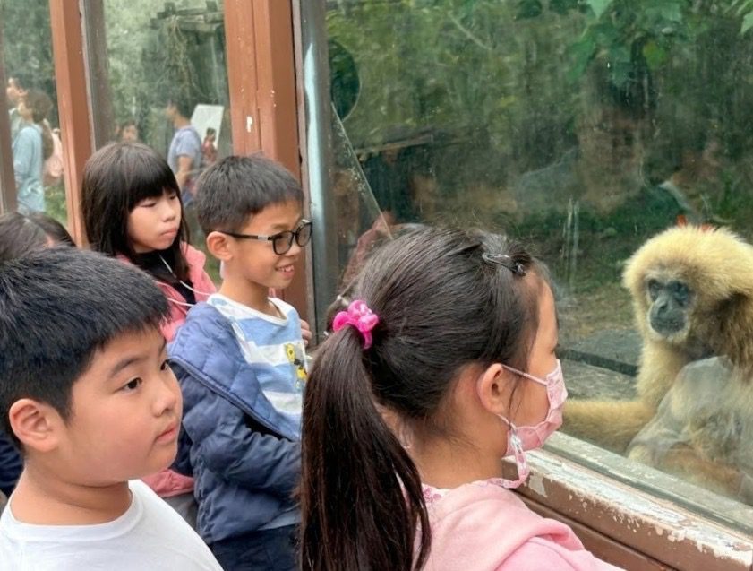 壽山動物園攜手台灣獼猴共存推廣協會 推「獼猴探險隊」活動 壽山動物園攜手台灣獼猴共存推廣協會 推「獼猴探險隊」活動