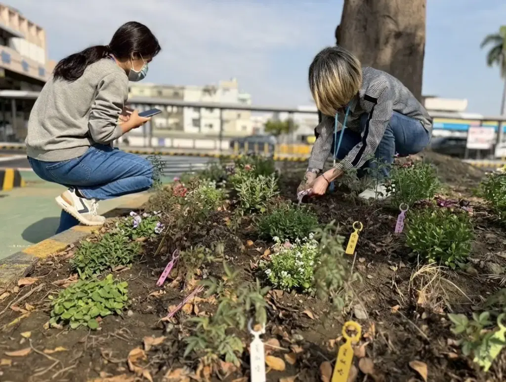 高雄區監理所推「預約早苗」快閃活動 汽燃費約扣結合減碳永續 提前達標種下100棵樹 高雄區監理所推「預約早苗」快閃活動 汽燃費約扣結合減碳永續 提前達標種下100棵樹