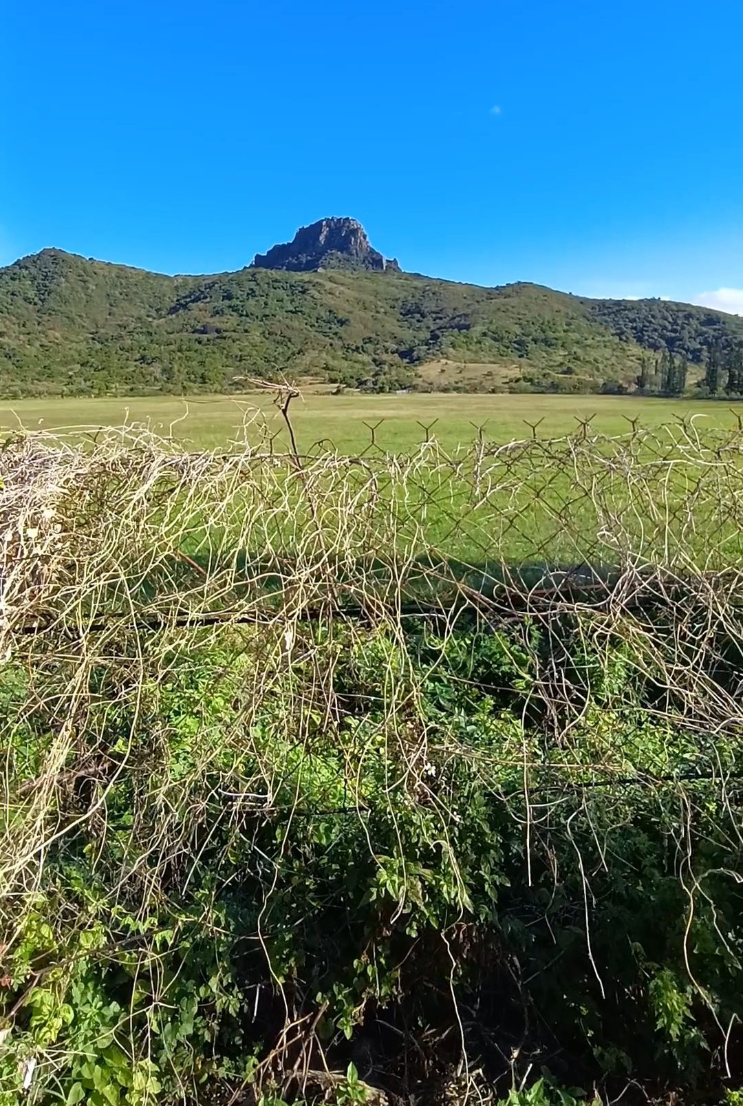 振興國旅 墾丁儷庭民宿打造美好旅宿體驗 振興國旅 墾丁儷庭民宿打造美好旅宿體驗