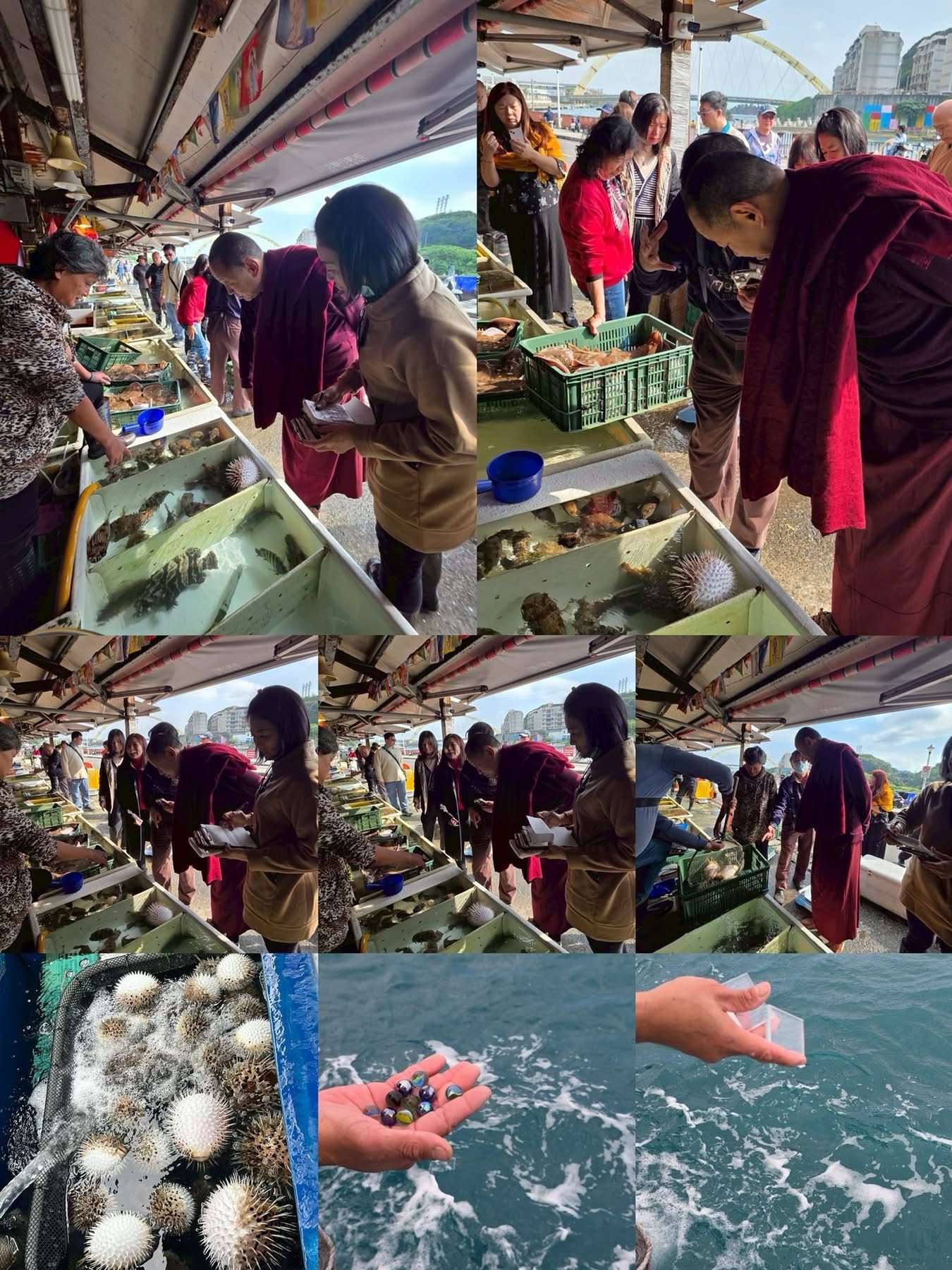 阿彌陀佛聖誕 × 敏林堪千法王壽辰;關於「放生」、修行與生命的真正意義 阿彌陀佛聖誕 × 敏林堪千法王壽辰;關於「放生」、修行與生命的真正意義