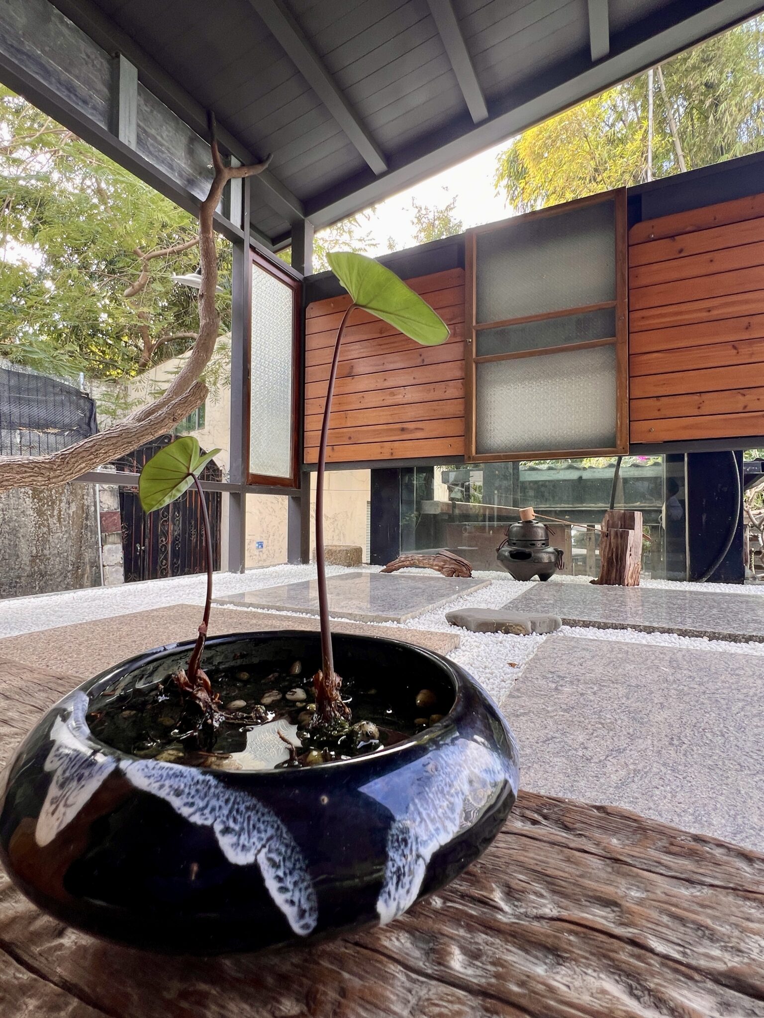 茶道、頌缽共構靜心療癒 「人體氣場能量」職業工會舉辦VIP茶席交流 茶道、頌缽共構靜心療癒 「人體氣場能量」職業工會舉辦VIP茶席交流