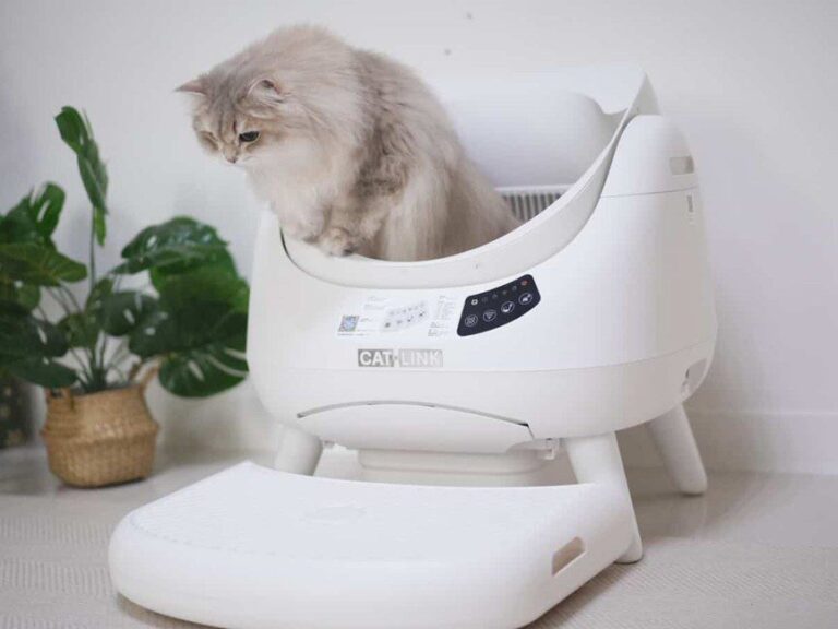 CATLINK  Open-X 翻滾喵  「精準預防」智慧照護愛貓超有感