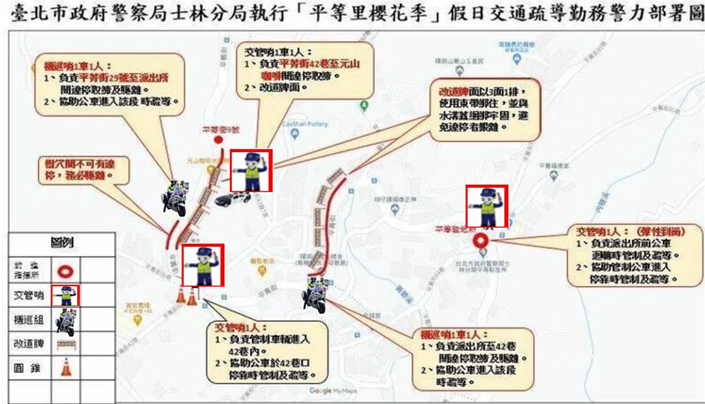 「平菁街櫻花季」登場 士林分局加派警力維護交通順暢 平菁街櫻花盛開迎春,士林分局規劃賞花動線。(圖/記者薛秀蓮 翻攝)
