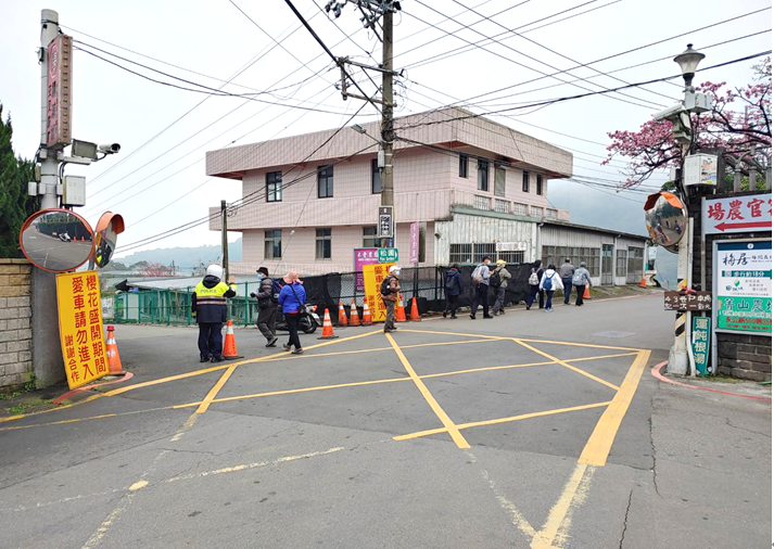 「平菁街櫻花季」登場 士林分局加派警力維護交通順暢 「平菁街櫻花季」登場 士林分局加派警力維護交通順暢