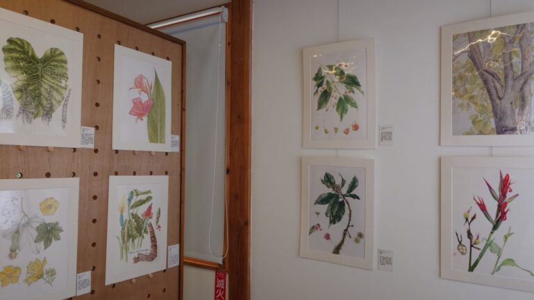 農業部林業試驗所嘉義樹木園即日起展出  「植物學藝術繪畫X客家遺產作物」