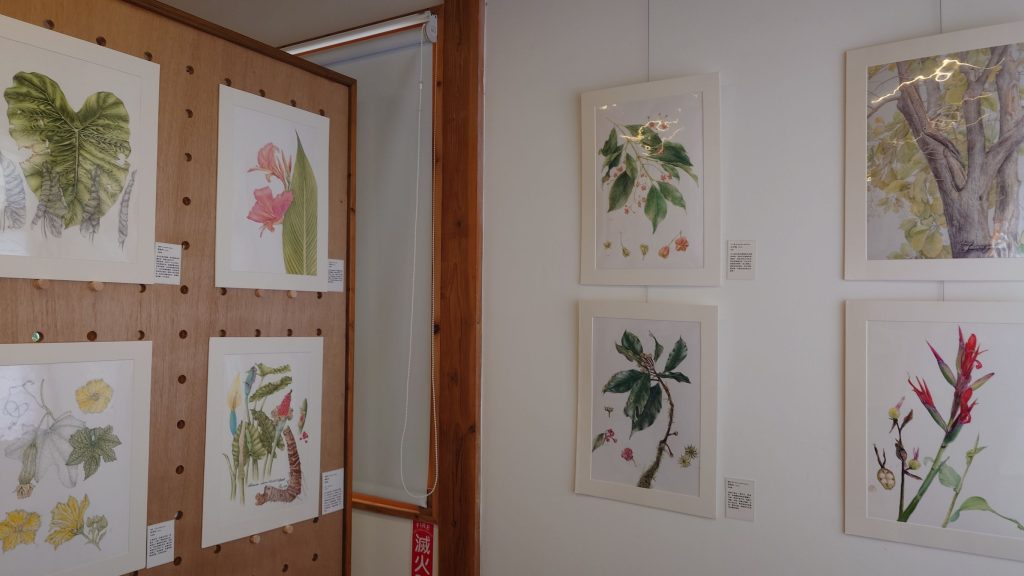 農業部林業試驗所嘉義樹木園即日起展出 「植物學藝術繪畫X客家遺產作物」 農業部林業試驗所嘉義樹木園即日起展出 「植物學藝術繪畫X客家遺產作物」