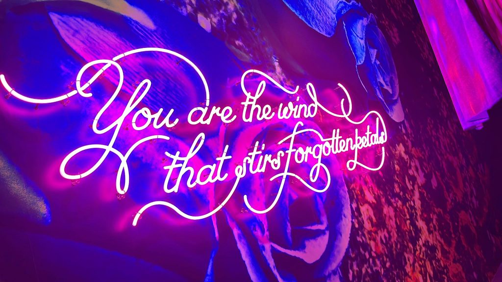 《彼岸、此岸》 在蜷川實花的沈浸式繁花中,我靜下來——生與死的凝望 《彼岸、此岸》 在蜷川實花的沈浸式繁花中,我靜下來——生與死的凝望