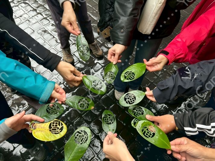 近郊登山迎春節 新北微笑山線邀挑戰完登 近郊登山迎春節 新北微笑山線邀挑戰完登