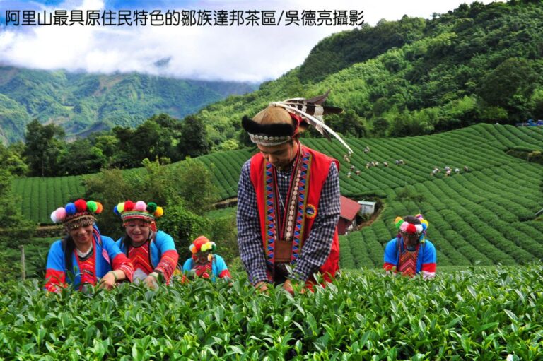 風起雲湧台灣茶