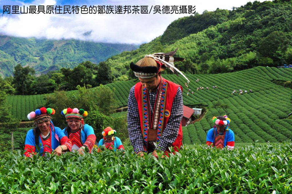 風起雲湧台灣茶 風起雲湧台灣茶