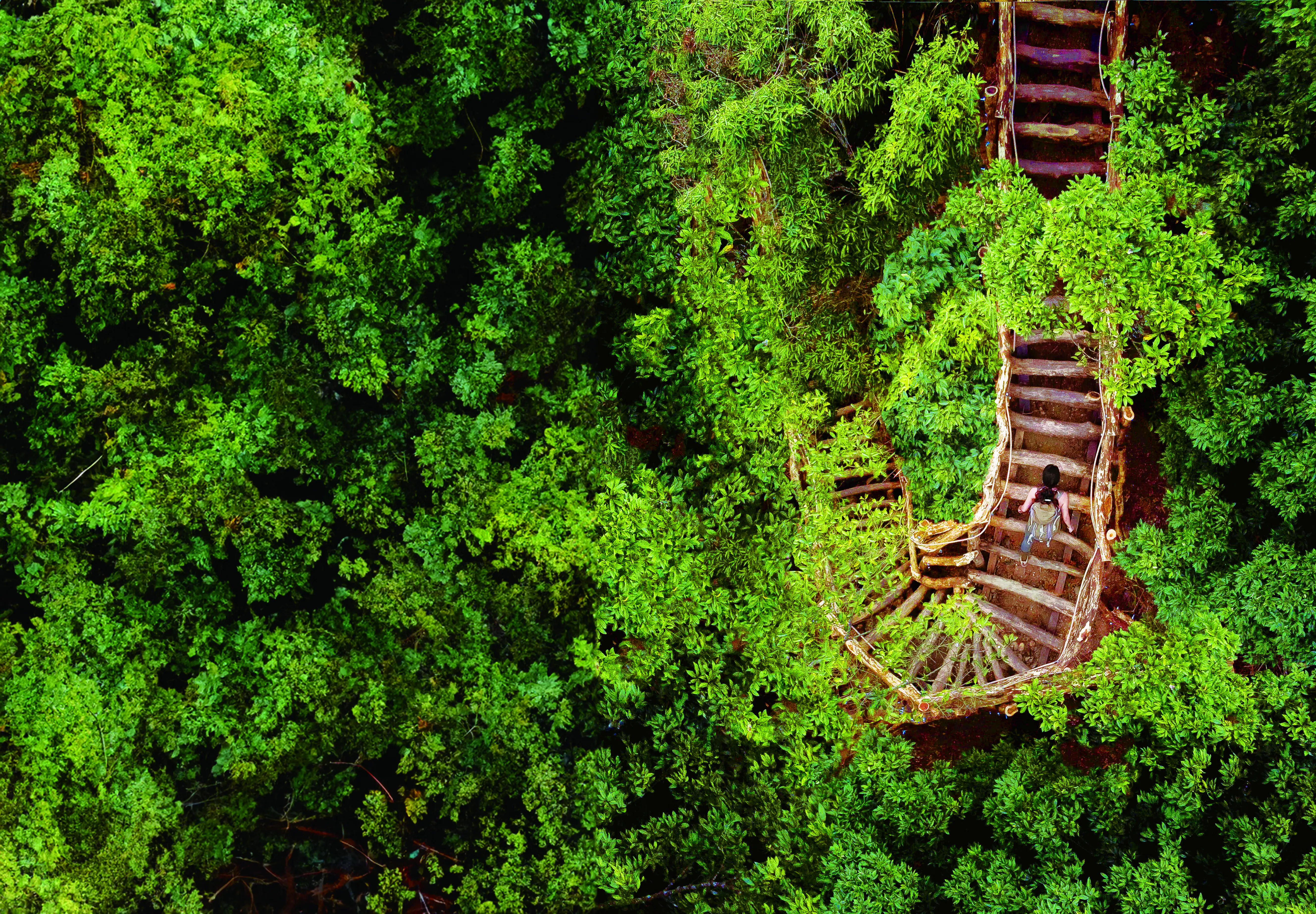 迎農曆新年 台中春節旅遊優惠與營運時間一次掌握 迎農曆新年 台中春節旅遊優惠與營運時間一次掌握