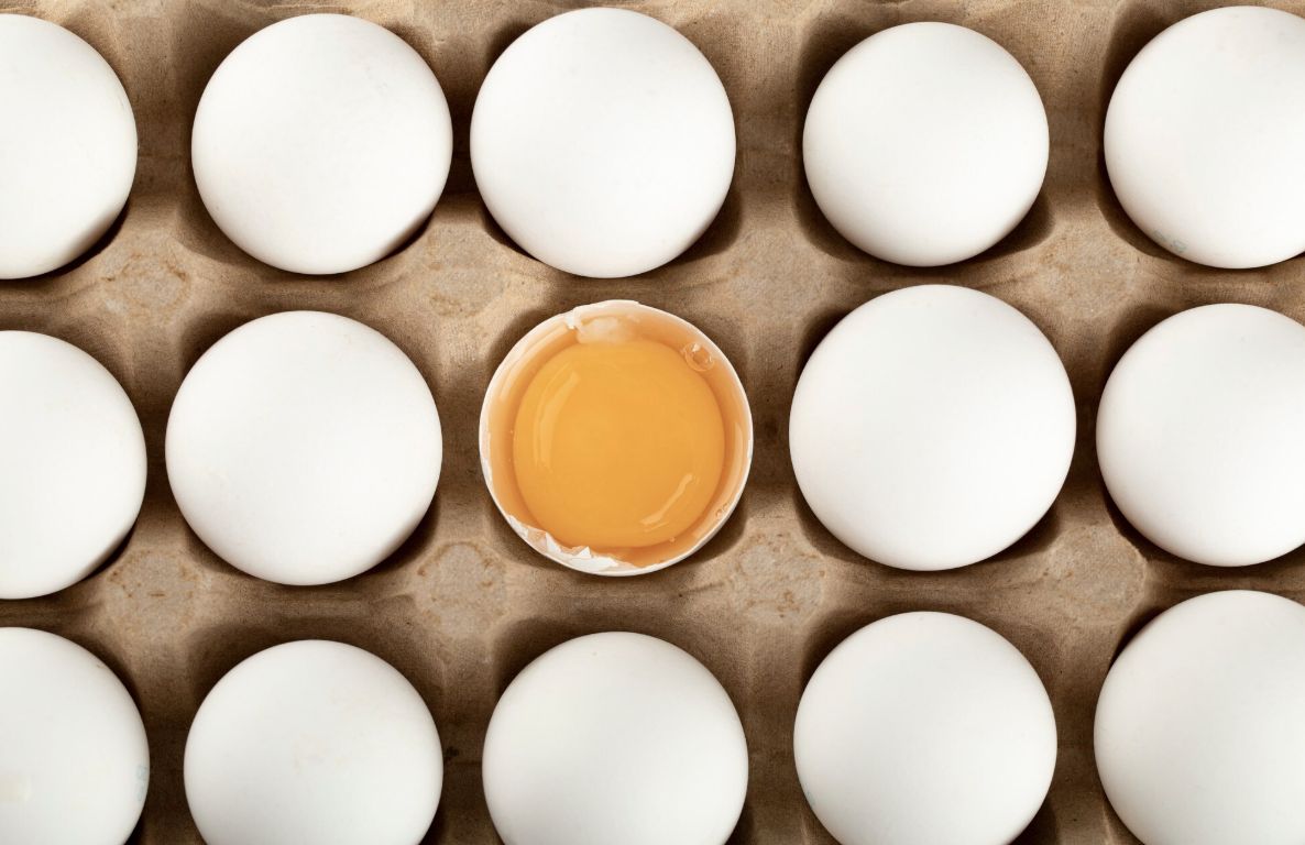 動福蛋淪禽流感破口?台中隱匿案戳破「小農神話」 大型蛋廠反而成 B2B 採購避風港 示意圖/擷取自免費圖庫freepik
