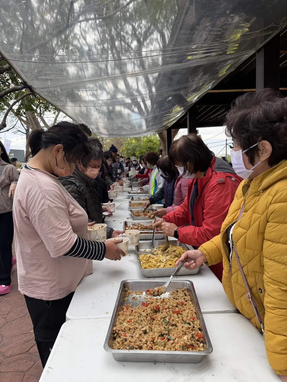 漫步花田拔蘿蔔 親子同遊體驗農村慢生活 漫步花田拔蘿蔔 親子同遊體驗農村慢生活