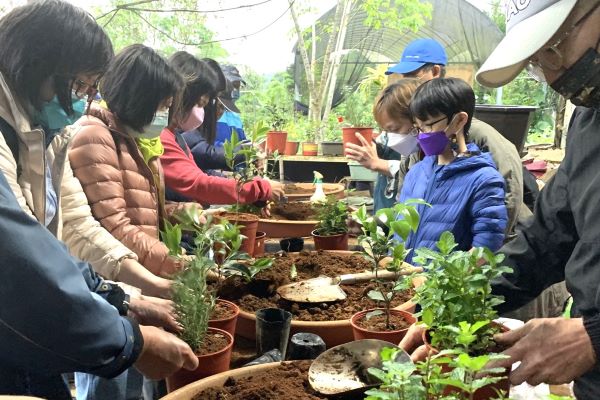 新北商圈迎新春 山海城一次玩透透 4 《圖說》雙溪商圈茶花換盆體驗活動,結合在地人文景點,展現雙溪低碳慢活魅力。〈經發局提供〉