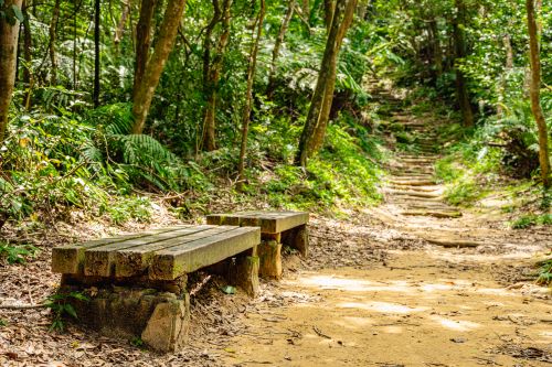 茶山古道品茗聽樂 微笑近山走3徑 3/14深坑登場 28 《圖說》歡迎大家一同走進茶山古道,放慢腳步、打開五感。〈觀旅局提供〉