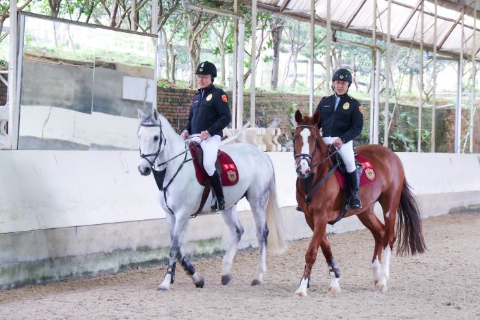 侯友宜化身一日騎警 體驗刷毛配戴鞍具近距離互動 21 《圖說》新北市警局騎警隊是新北治安建構全方位防護網的一環,也是提升國際形象與促進警民關係的重要大使。〈新聞局提供〉