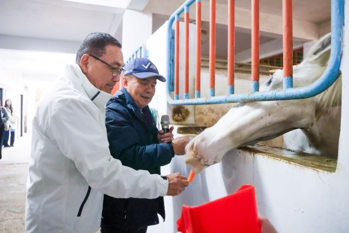 侯友宜化身一日騎警 體驗刷毛配戴鞍具近距離互動 20 《圖說》市長侯友宜與「卡通」近距離互動,他表示,充分感受到騎警隊員與警馬透過日常互動培養默契的重要性。〈新聞局提供〉