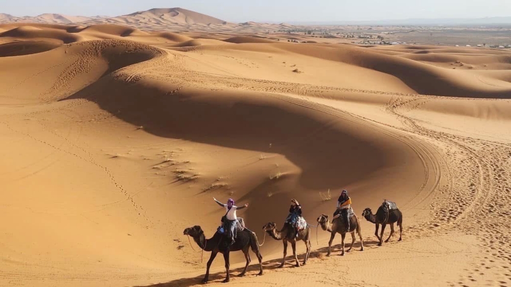 後疫情時代旅遊新趨勢崛起 【波波旅遊】以「海外小團旅遊」打造高彈性夢想行程 4 01【波波旅遊】以「海外小團旅遊」打造高彈性夢想行程 1