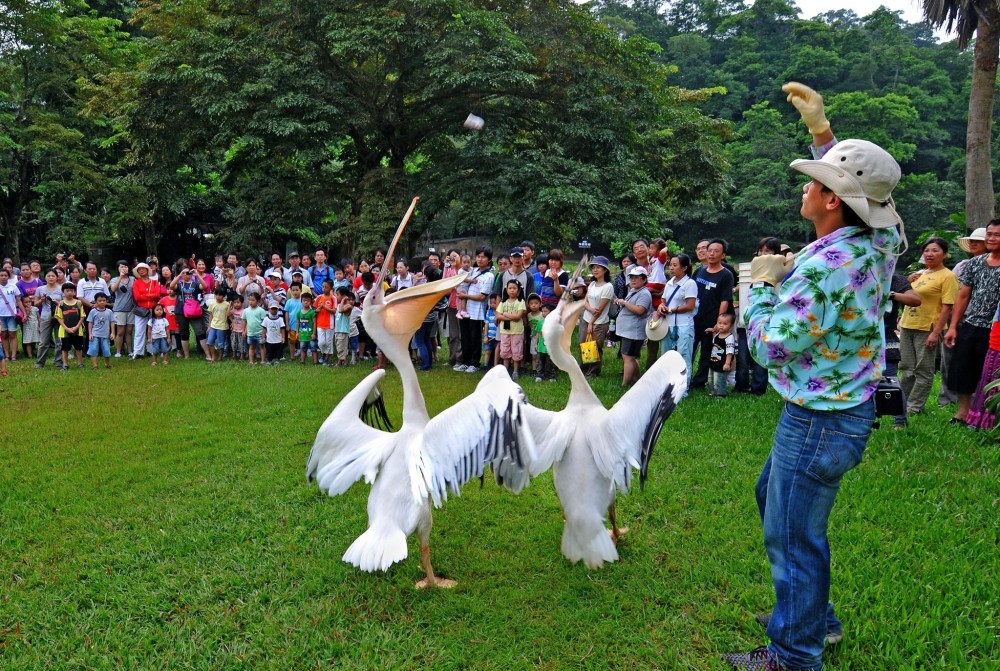 綠世界推出「馬免費」超殺優惠! 2026屬馬免費暢遊 6 01%E7%B6%A0%E4%B8%96%E7%95%8C%E6%8E%A8%E5%87%BA%E3%80%8C%E9%A6%AC%E5%85%8D%E8%B2%BB%E3%80%8D%E8%B6%85%E6%AE%BA%E5%84%AA%E6%83%A0 1