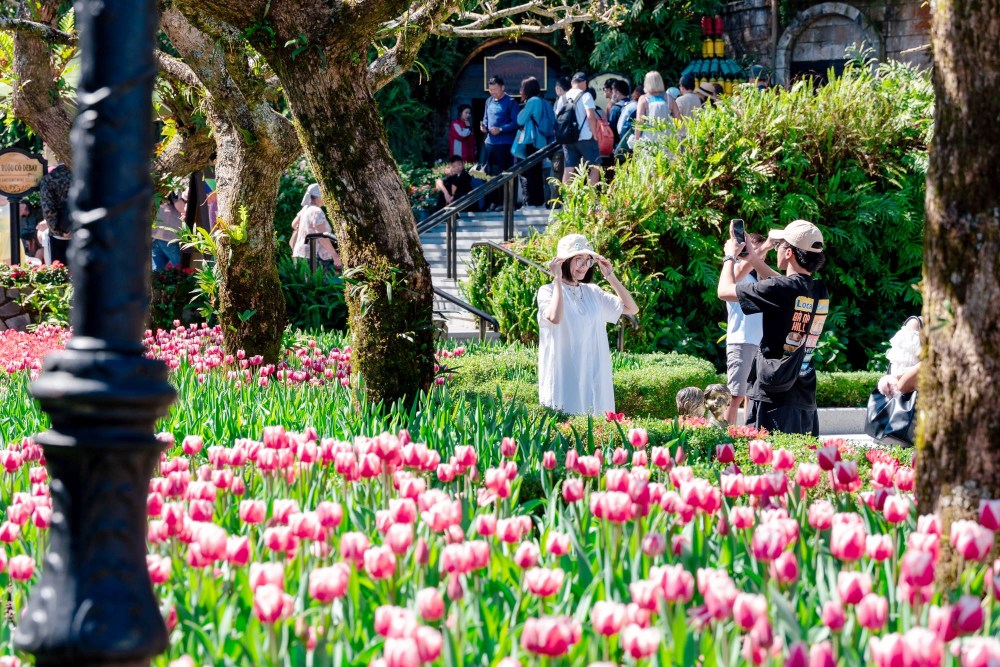 百萬株鬱金香綻放齊開必看的花海 Sun World Ba Na Hills 春季旅遊最新焦點 百萬株鬱金香綻放齊開必看的花海 Sun World Ba Na Hills 春季旅遊最新焦點