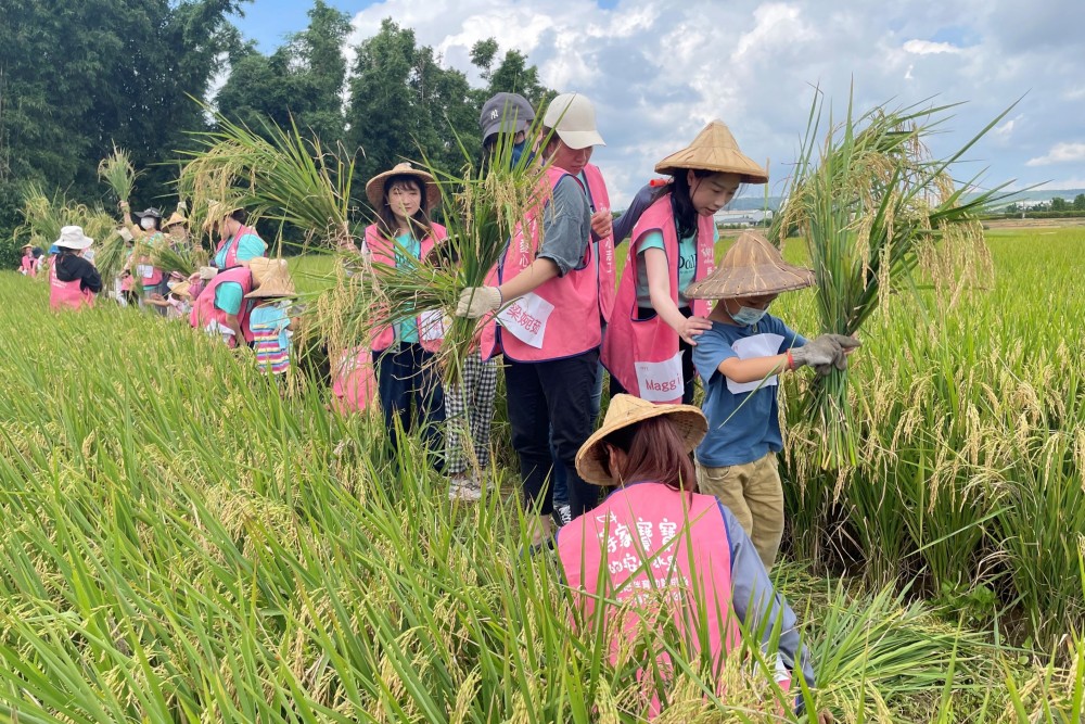 ESG公益合作新典範:等家寶寶社福協會助企業打造可量化、可落地的ESG社會行動方案 ESG公益合作新典範:等家寶寶社福協會助企業打造可量化、可落地的ESG社會行動方案