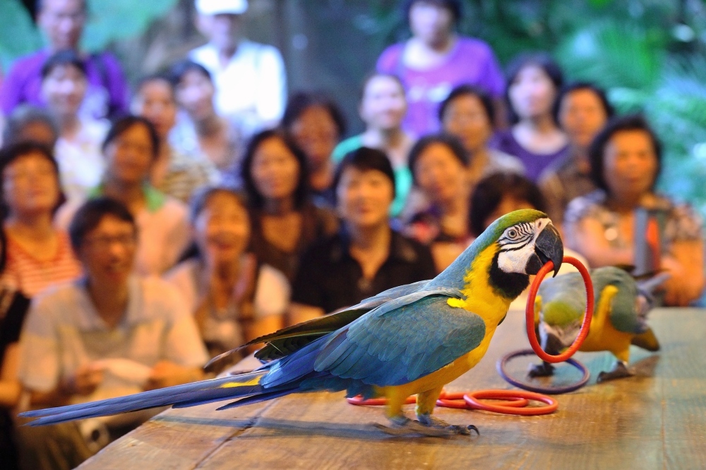 綠世界推出「馬免費」超殺優惠! 2026屬馬免費暢遊 7 02%E7%B6%A0%E4%B8%96%E7%95%8C%E6%8E%A8%E5%87%BA%E3%80%8C%E9%A6%AC%E5%85%8D%E8%B2%BB%E3%80%8D%E8%B6%85%E6%AE%BA%E5%84%AA%E6%83%A0