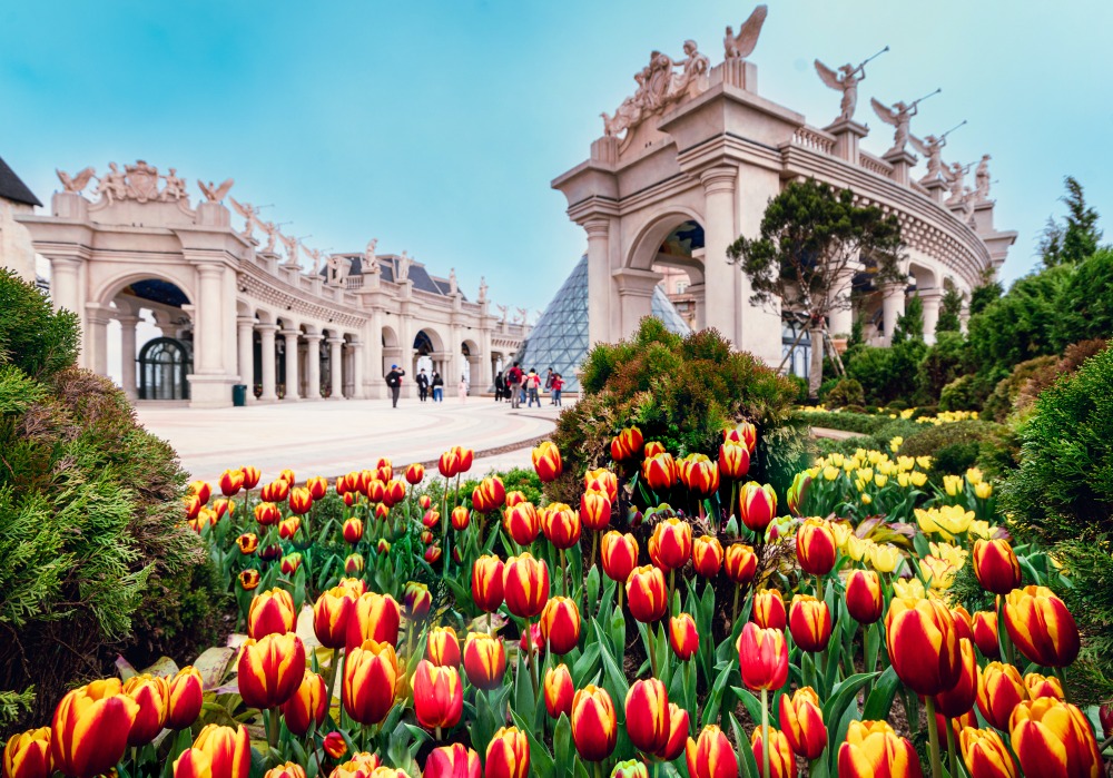 百萬株鬱金香綻放齊開必看的花海 Sun World Ba Na Hills 春季旅遊最新焦點 14 02%E9%AC%B1%E9%87%91%E9%A6%99%E8%8A%B1%E5%8D%89%E7%AF%80%E8%AE%93 Sun World Ba Na Hills %E5%8C%96%E8%BA%AB%E7%82%BA%E9%9B%B2%E7%AB%AF%E4%B8%8A%E7%9A%84%E5%B0%8F%E8%8D%B7%E8%98%AD