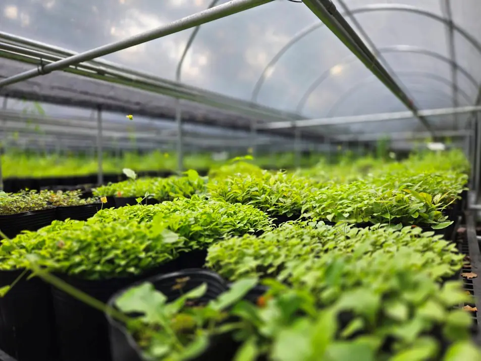 第五屆中市公共設施認養評鑑揭曉! 中市府表揚18家績優企業團體 第五屆中市公共設施認養評鑑揭曉! 中市府表揚18家績優企業團體