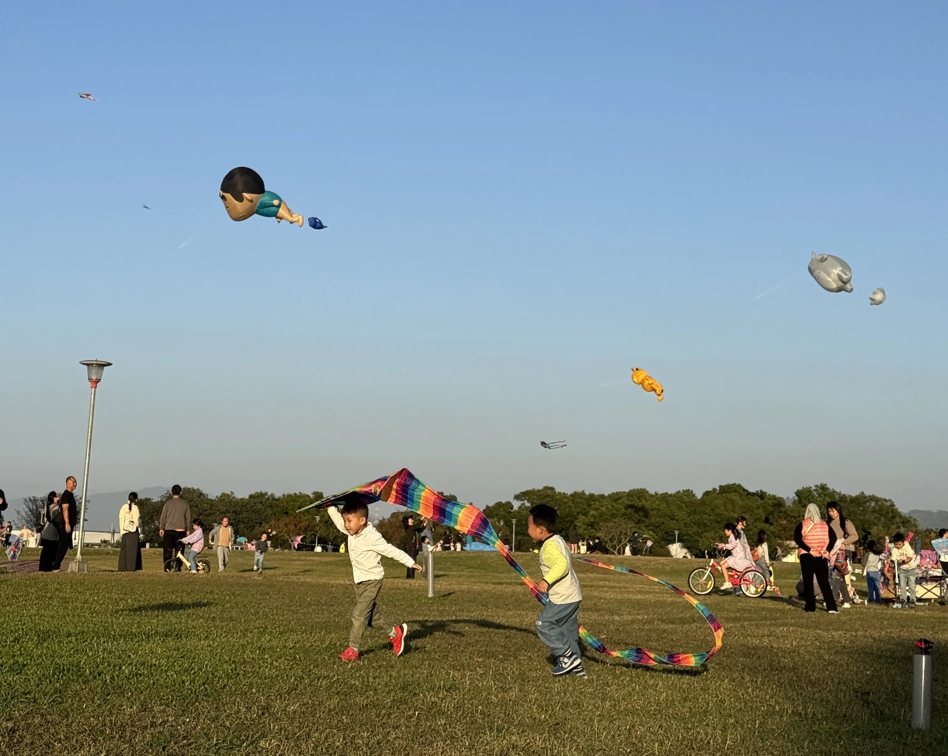 春節賞花首選「后里環保公園」! 黃波斯菊、向日葵接力登場 喜迎馬年好去處 春節賞花首選「后里環保公園」! 黃波斯菊、向日葵接力登場 喜迎馬年好去處