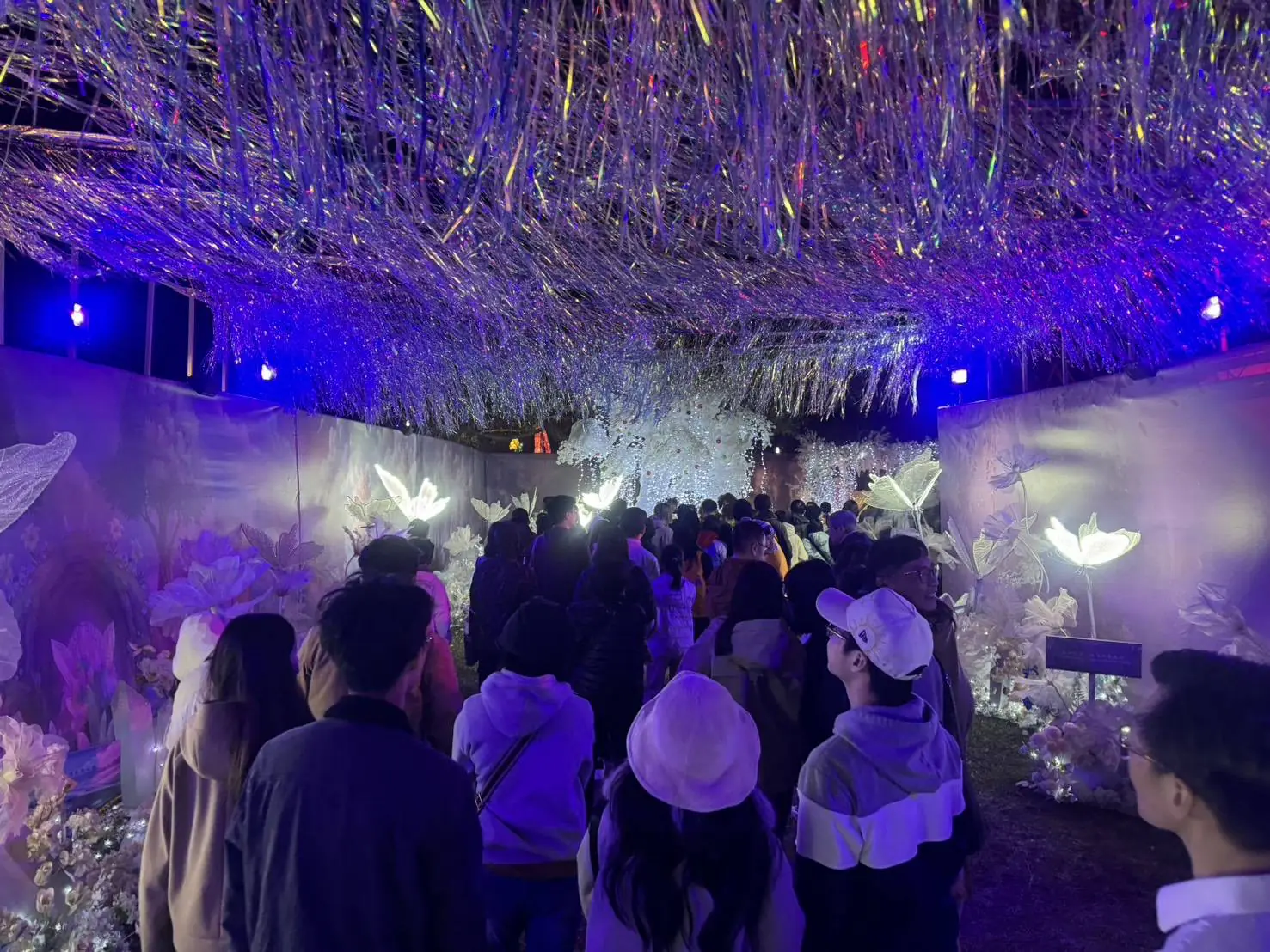 2026中台灣燈會「驚蟄界」人氣爆棚! 建設局打造沉浸式光影體驗邀您走進奇幻春天森林 2026中台灣燈會「驚蟄界」人氣爆棚! 建設局打造沉浸式光影體驗邀您走進奇幻春天森林